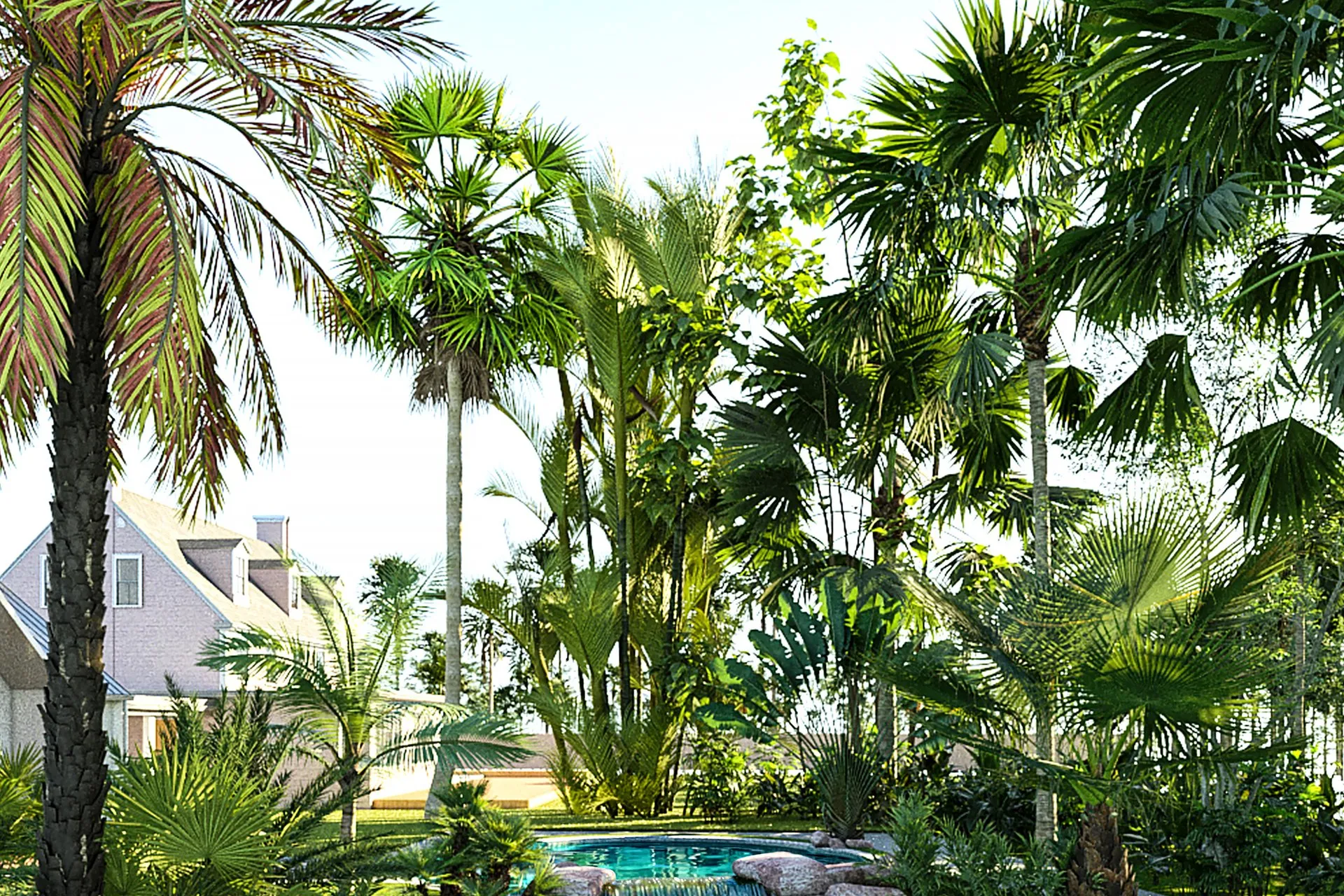 Tropical Pool Garden — landscape architectural visualization, view 1