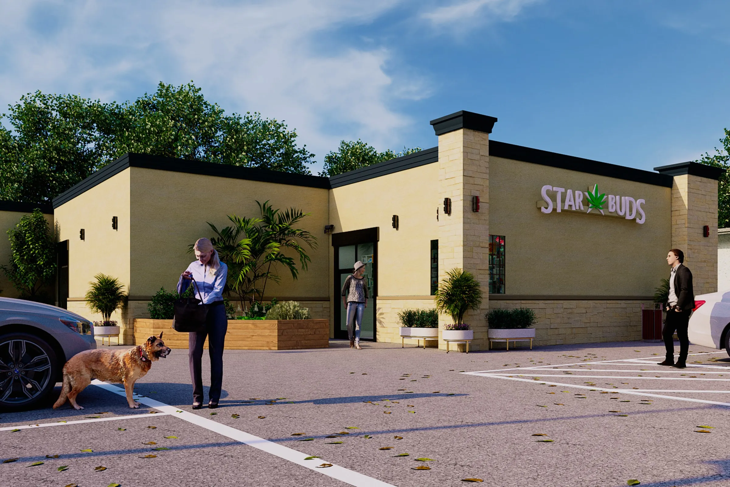 Star Buds Dispensary — retail 3D rendering by Praxis Studio