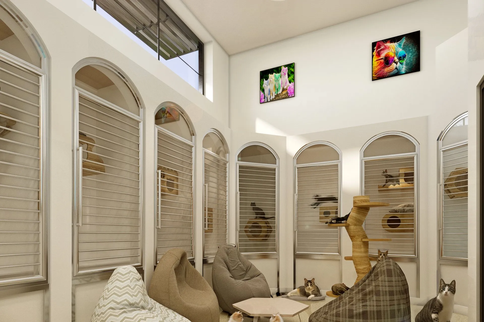 Barks and Board Pet Resort — Case Study — retail & showroom design visualization detail 3