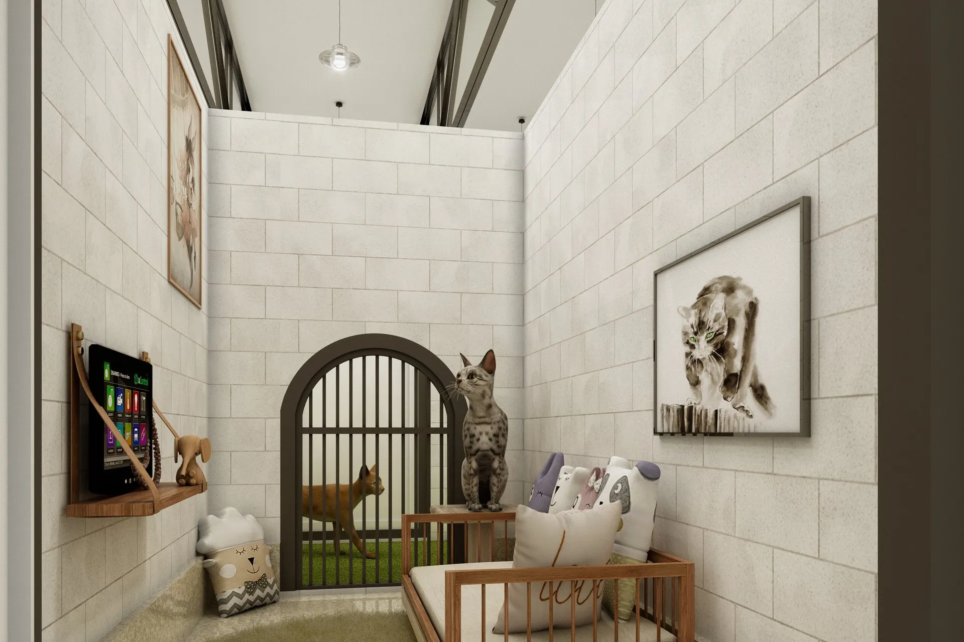 Barks and Board Pet Resort — Case Study — retail & showroom design visualization detail 6